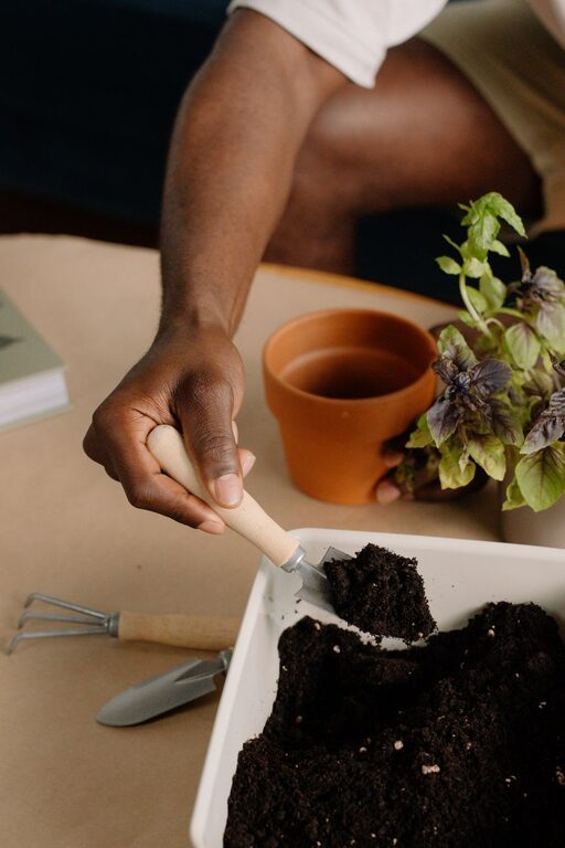 How to Start a Small Herb Garden Indoors: A Simple Step-by-Step Guide